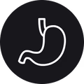 May help support a healthy digestive system