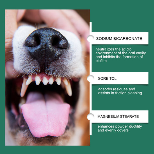 Dog Dental Cleaning Powder